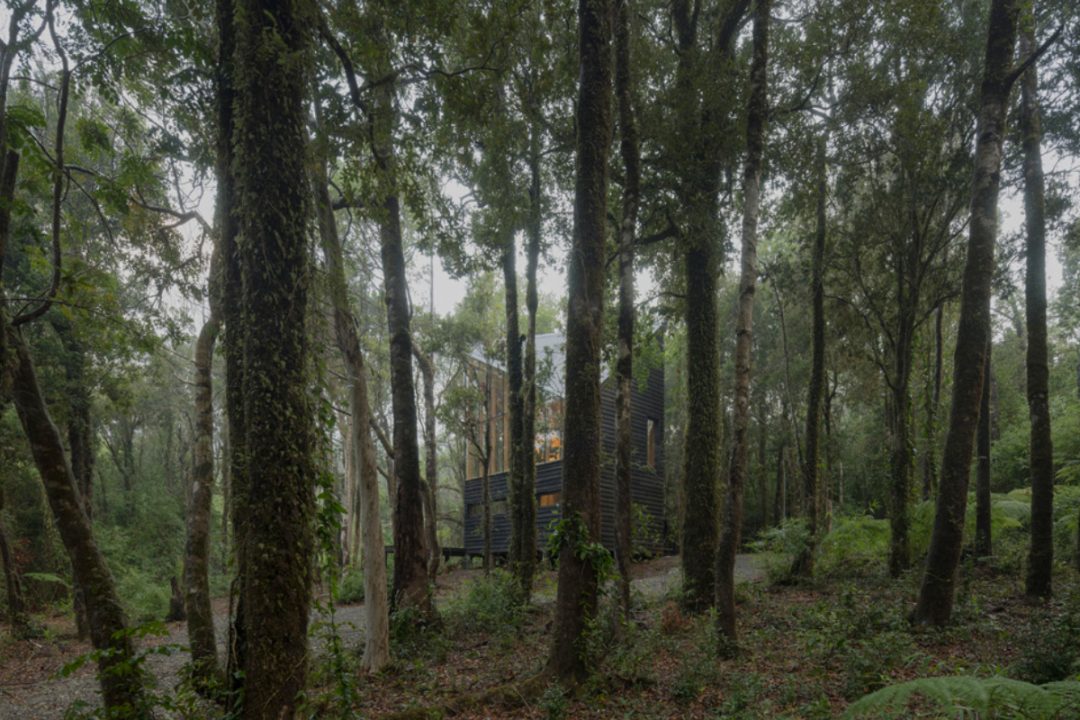 CASA RC