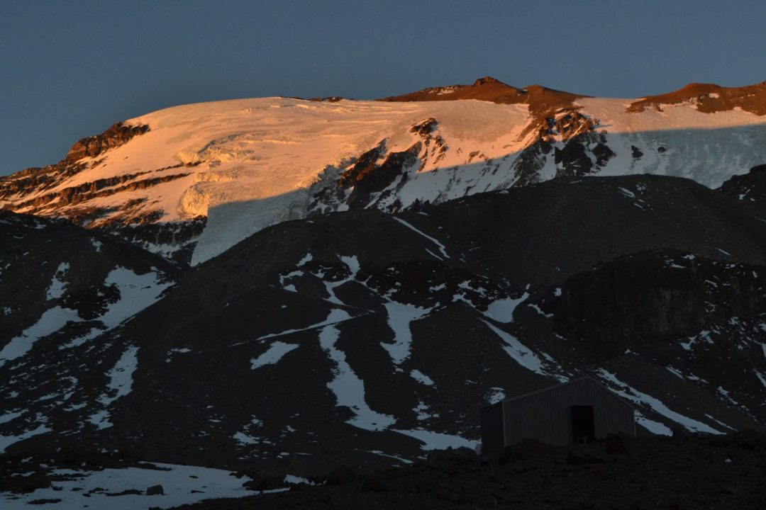 REFUGIO BIZZARRI